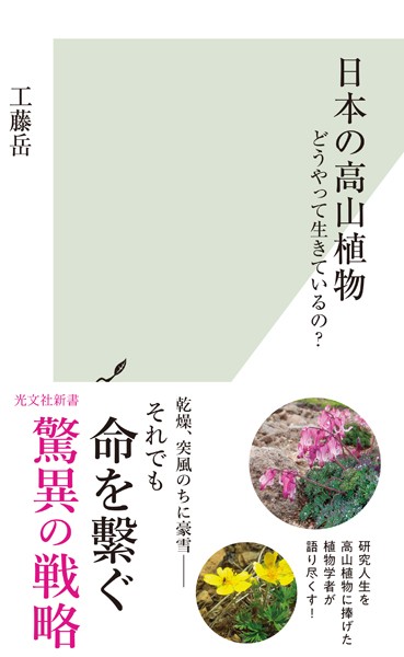 日本の高山植物〜どうやって生きているの？〜