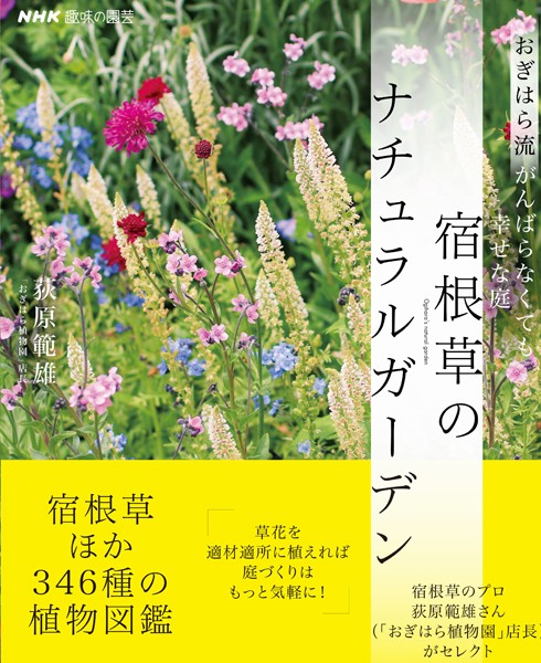 NHK趣味の園芸 おぎはら流 がんばらなくても幸せな庭 宿根草のナチュラルガーデン