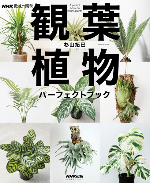 NHK趣味の園芸 観葉植物 パーフェクトブック
