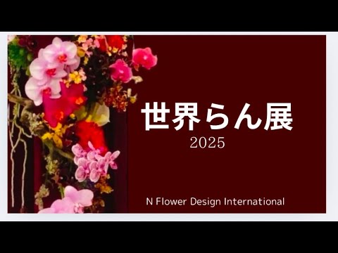 世界らん展2025フラワーデザイン部門アレンジ作品#世界らん展#Nフラワー#フラワーデザイン