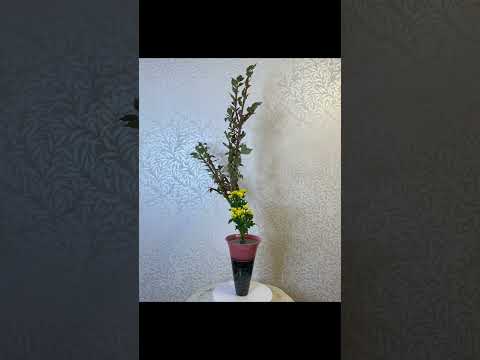 池坊いけばな🌸「花をたのしむ会」秋の作品集2023 #Shorts