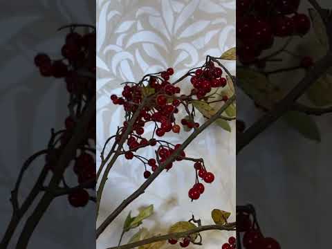 池坊いけばな『立花新風体』秋の作品🍂 | Ikenobo Ikebana: Rikka Shinputai for Autumn