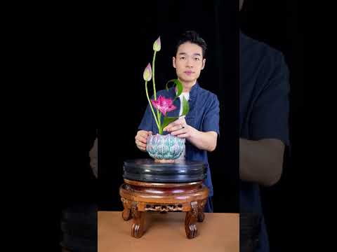 Flower Arrangement Art – LOTUS IKEBANA #flowers  #flowerarrangement #florist #floralart