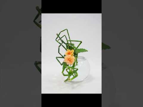 薔薇をアートに飾る #shorts #asmr #flowers #生け花