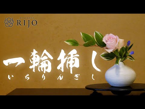 意外と難しい？！一輪挿し生け花の生け方をご紹介します！【Ikebana】華道家 宮本理城の生け花レッスン。