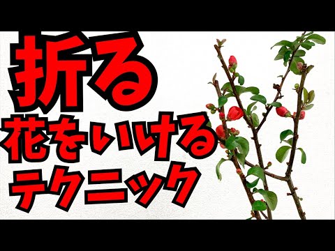 【フラワーアレンジメント】折りだめ〜折って花をアレンジするテクニック～枝が生きるため方と枝が死んでしまうため方の違い