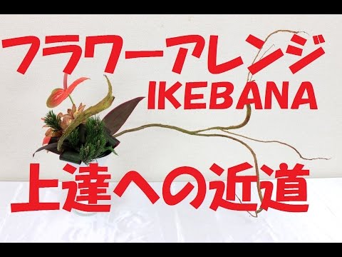 フラワーアレンジメント・いけばなが上達する動画～ラインの生かした利かせ方~How to make a IKEBANA flower arrangements
