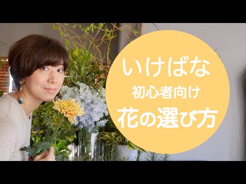 【いけばな初心者🔰】生けやすい花の選び方 Ikebana for begginers