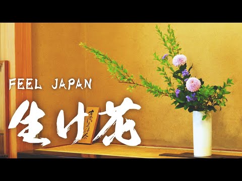 「投げ入れ」が簡単に！初心者でもできる生け花をご紹介します！【Ikebana】華道家 宮本理城の生け花レッスン。