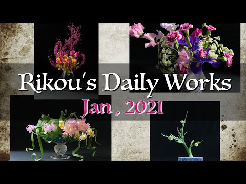 【生け花】2021年1月の日々の作品まとめ【癒し・アート】