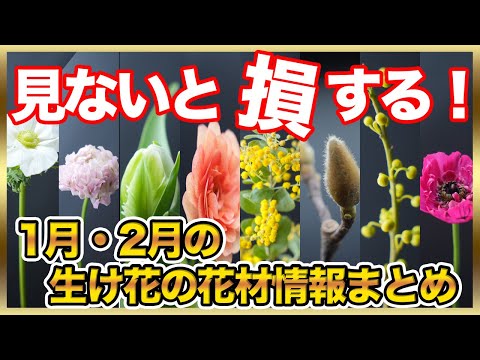 【冬の最新情報】1月〜2月のオススメ花材を紹介します！