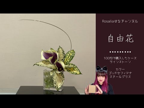 池坊【いけばな Ikebana】『自由花』100均クリアクラフトケースにいける【flower】 🌸 【生け方 How to make】