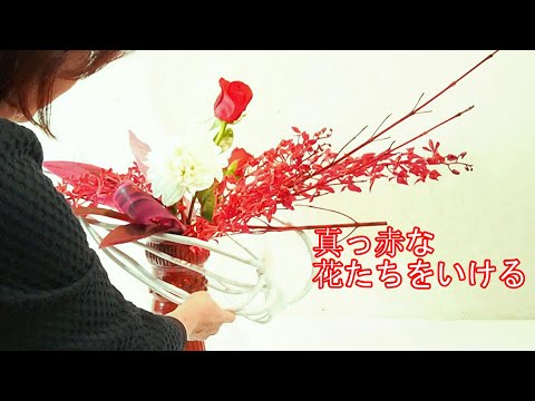 【生け花】_クリスマスやお正月が近いので赤い花_ばら_レナンセラ_Japanese Flower arrangement_ Sogetsu