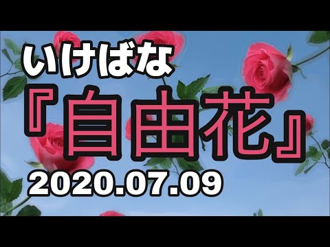 池坊【いけばな Ikebana】自由花でジメジメを吹っ飛ばせ!! 2020.07.09【How to make】