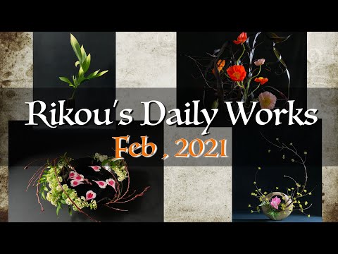 【生け花】2021年2月の日々の作品まとめ【癒し・アート】