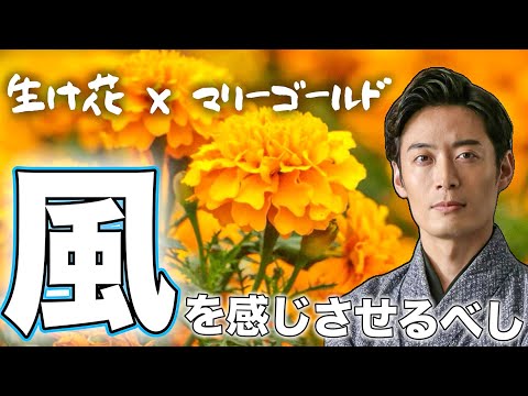 【侍俳優のゆる華道】マリーゴールドで生け花｜風を感じるのだ！