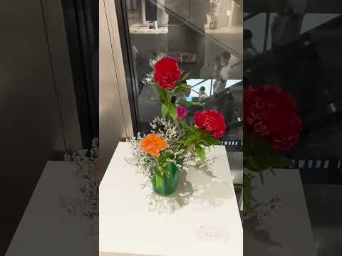 24 8月花おこし 3F 休憩スペース#shorts #flowers