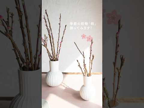 【ひなまつり目前！】桃の枝、生けてみた！！