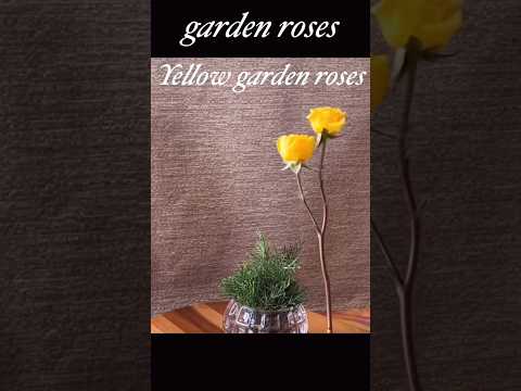 Flower arrangement with roses