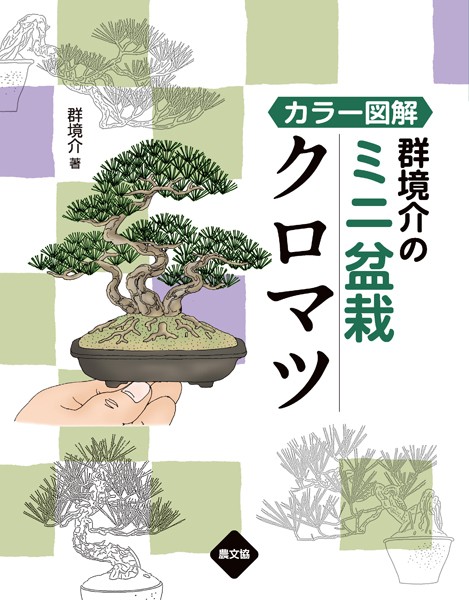 カラー図解 群境介のミニ盆栽 クロマツ