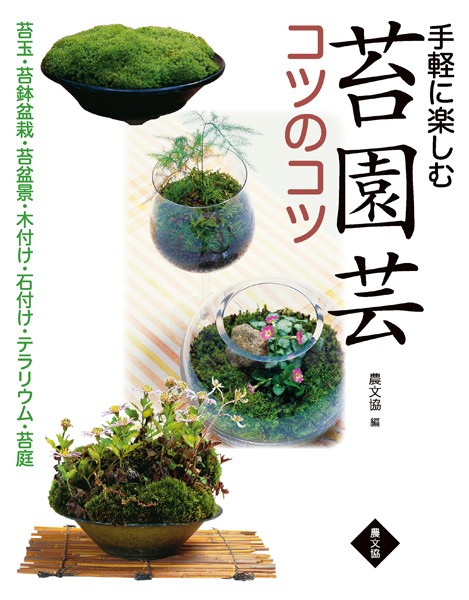 手軽に楽しむ 苔園芸コツのコツ