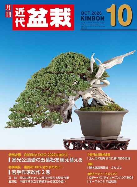 近代盆栽2026年10月号