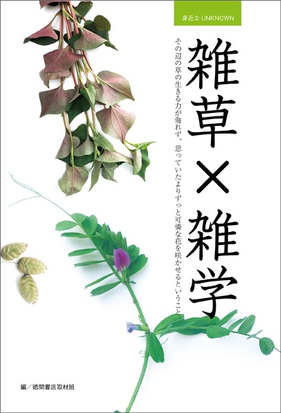 身近なUNKNOWN 雑草×雑学 その辺の草の生きる力が侮れず、思っていたよりずっと可憐な花を咲かせるということ。