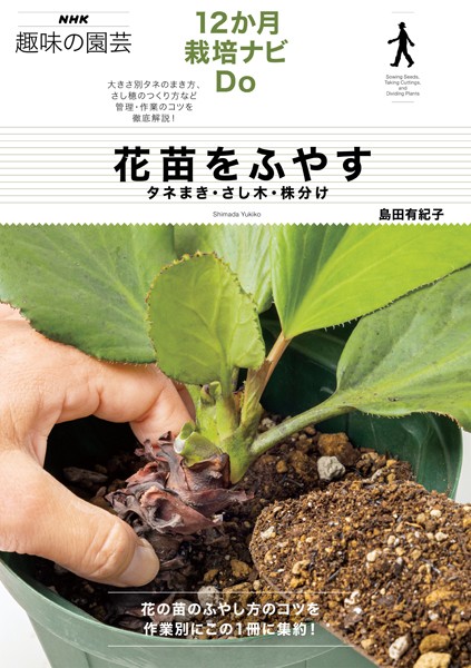花苗をふやす タネまき・さし木・株分け