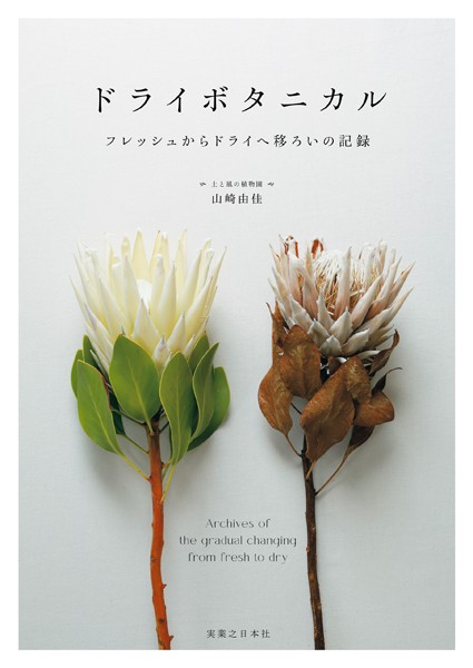 ドライボタニカル フレッシュからドライへ移ろいの記録
